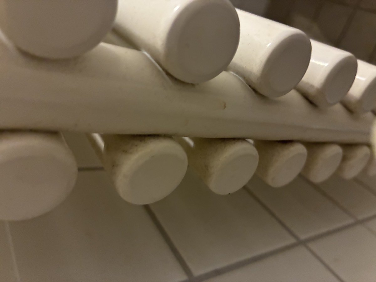 Before cleaning: Radiator Detail
